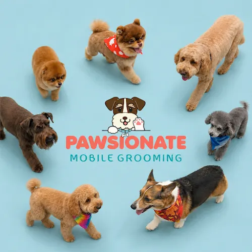 Pawsionate Mobile Grooming & Pet Spa - Image 1