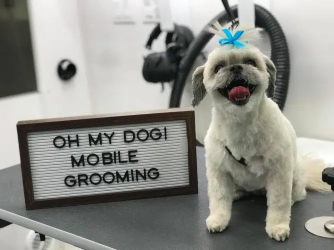 Oh My Dog Mobile Grooming - Image 1