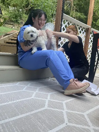 Low Stress Pet Services - Mobile Grooming - Image 1