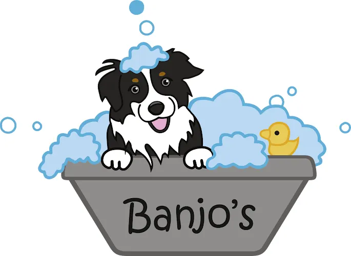Banjo's Self Dog Wash in Northbrook, IL