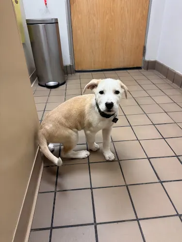 Suttons Bay Animal Hospital - Image 1