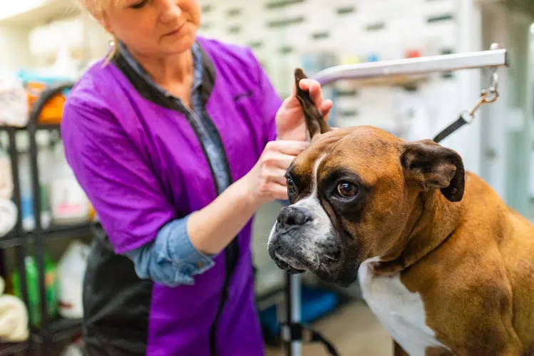 Bark Avenue Grooming - Image 1