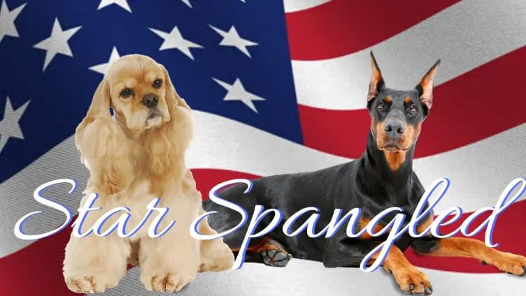 Star Spanlged Pups Mobile Pet Grooming - Image 1