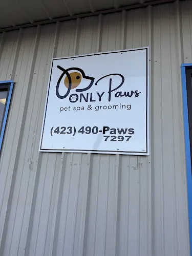 Only paws pet spa & grooming - Image 1