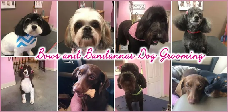 Bows & Bandannas Dog Grooming and The Barktique - Image 1
