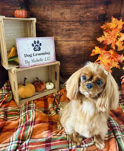 Dog Grooming by Michelle LLC - Image 1