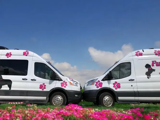 Furry & Fabulous Mobile Grooming - Image 1