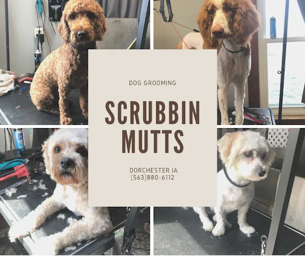 Scrubbin Mutts - Image 1