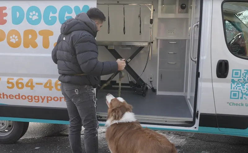 The Doggy Port Mobile - Image 1