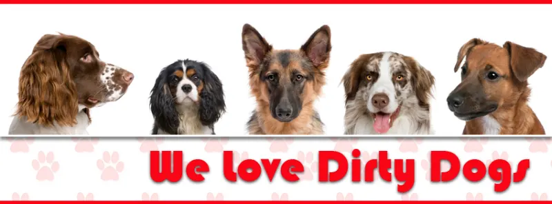 Mobile Dirty Dog Grooming - Image 1