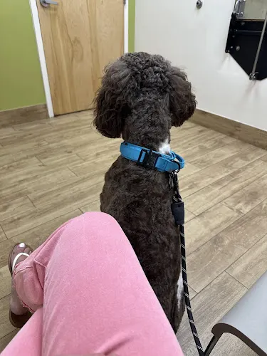 Fairfield Animal Hospital in Cypress, TX