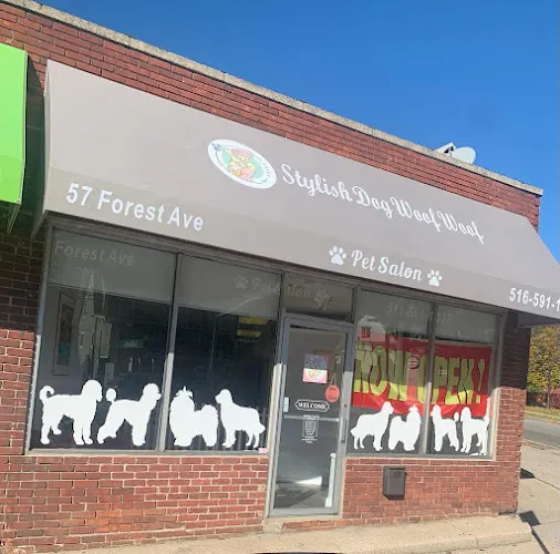 Dog Groomers Long Island- Stylish Dog Woof Woof - Image 1