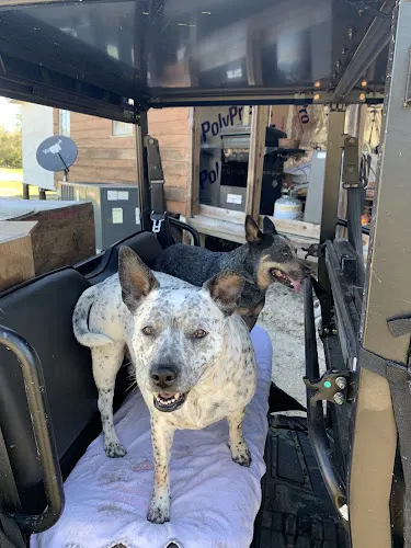 Lynn Matthews Mobile Dog Grooming - Image 1
