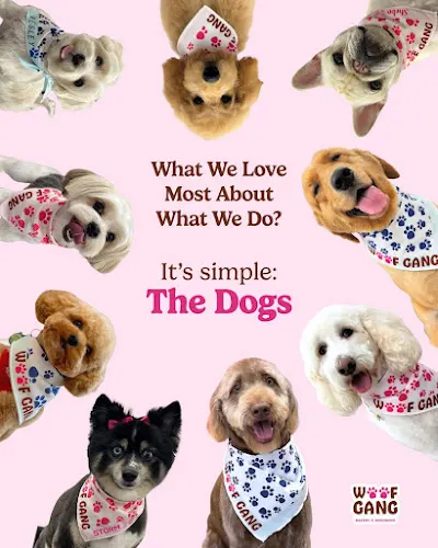 Woof Gang Bakery & Grooming New Braunfels - Image 1