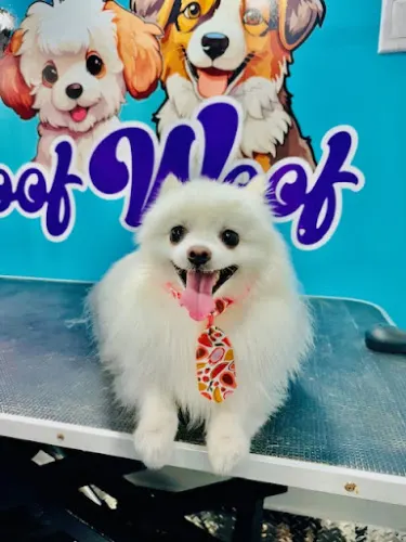 Woof Woof Luxury Mobile Pet Grooming Naples - Image 1