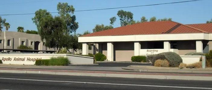 Apollo Animal Hospital - Image 1