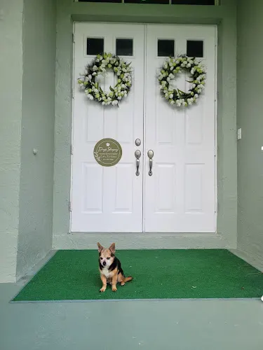 K9 Spa Dog Training & Dog Boarding in Loxahatchee, FL