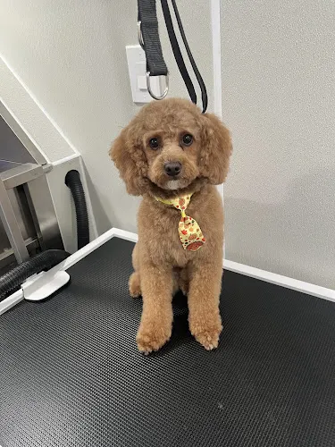 Fresh Pup Cuts - Image 1