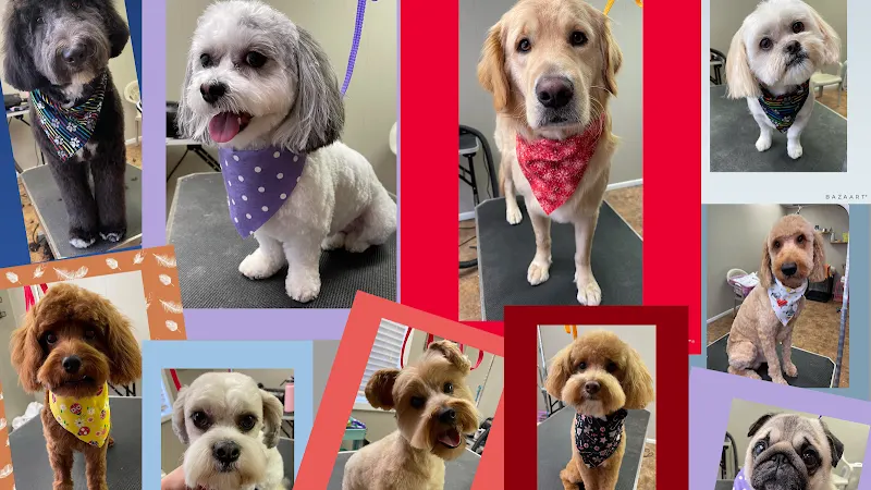 Endless Pawsabilities - Image 1