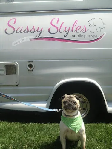 Sassy Styles Mobile Pet Spa in New Egypt, NJ