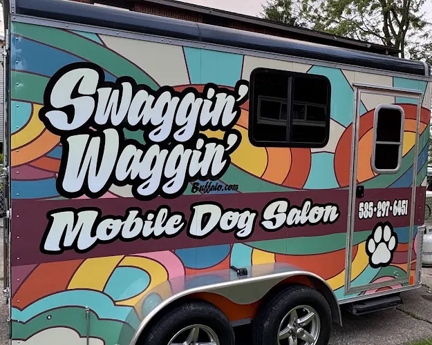 Swaggin' Waggin' Mobile Dog Salon - Image 1
