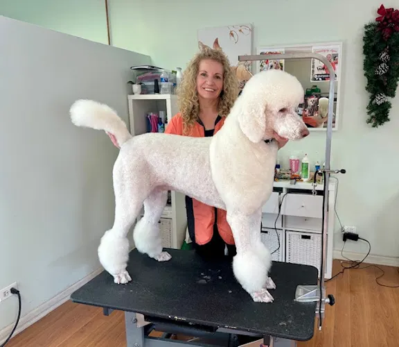 We Are All One Holistic Grooming, LLC in Wheeling, IL