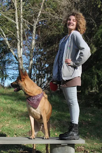 D.R.E.A.M. Doggy Daycamp - Image 1