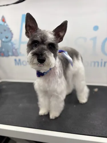 Acasio Mobile Pet Grooming - Image 1