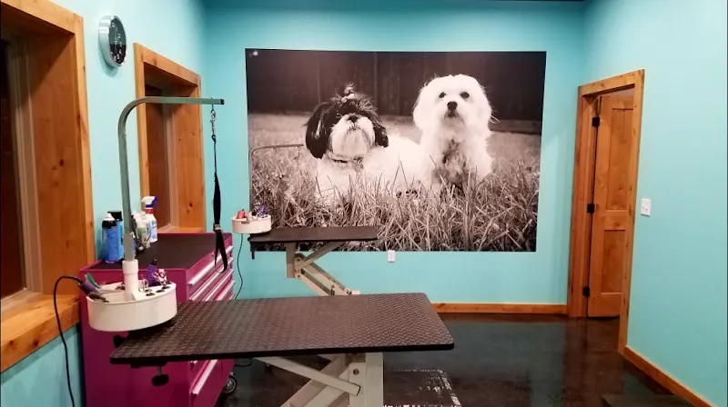 Pampered Pets Retreat & Spa - Image 1