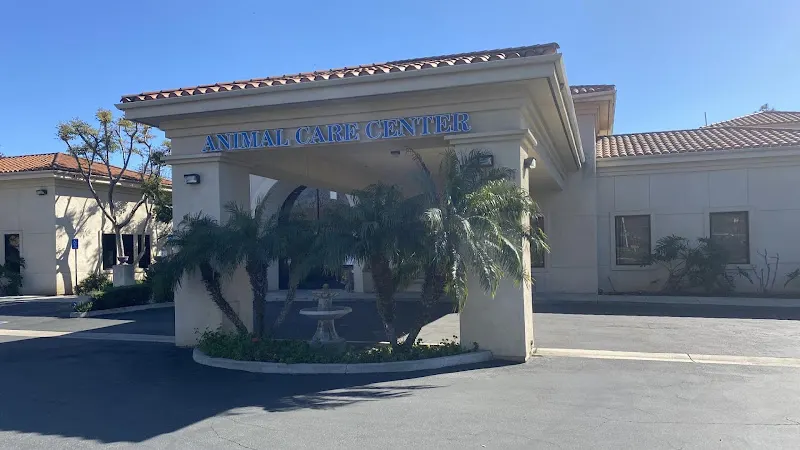 VCA Santa Margarita Animal Hospital - Image 1