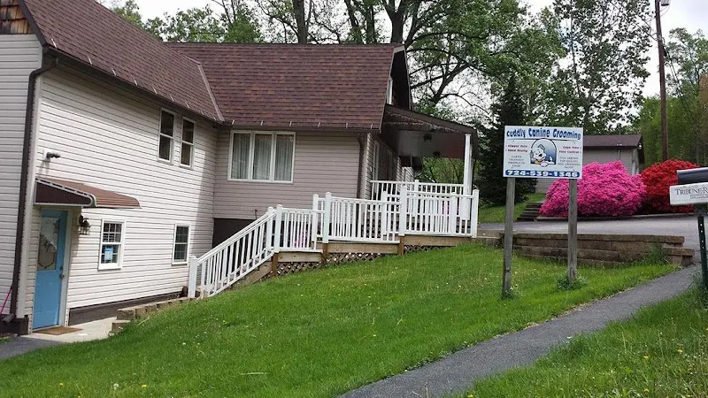 Cuddly Canine Grooming in Latrobe, PA