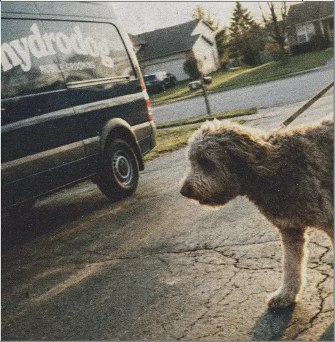 Hydrodog West Nashville - Mobile Dog Grooming - Image 1