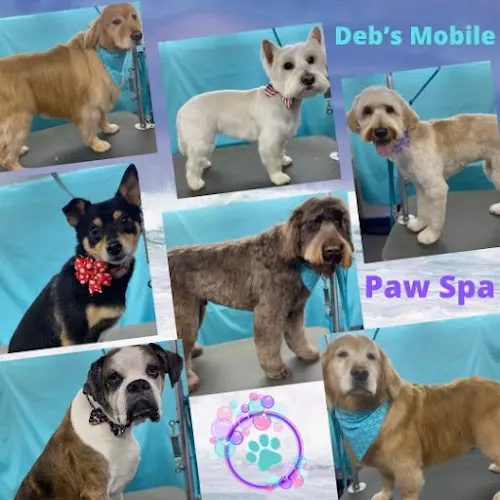 Deb's Mobile Paw Spa, LLC - Image 1