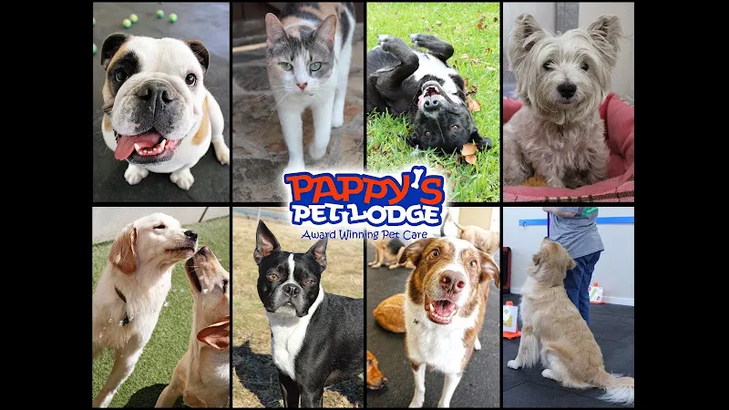Pappy's Pet Lodge - Roanoke - Image 1