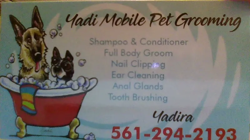 yadi mobile dog grooming of fl - Image 1