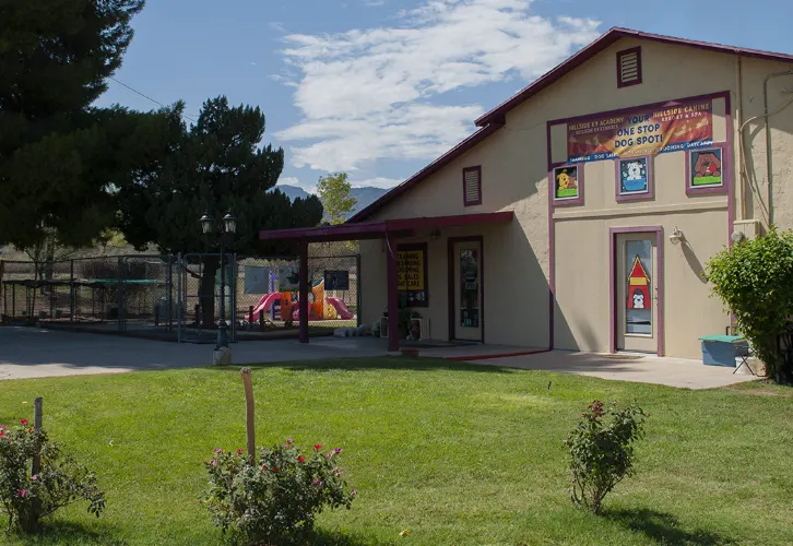 Hillside Canine Resort and Training - Image 1