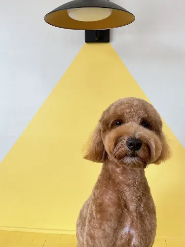 Pawsitive Pet Spa - Peachtree Ind Blvd - Image 1