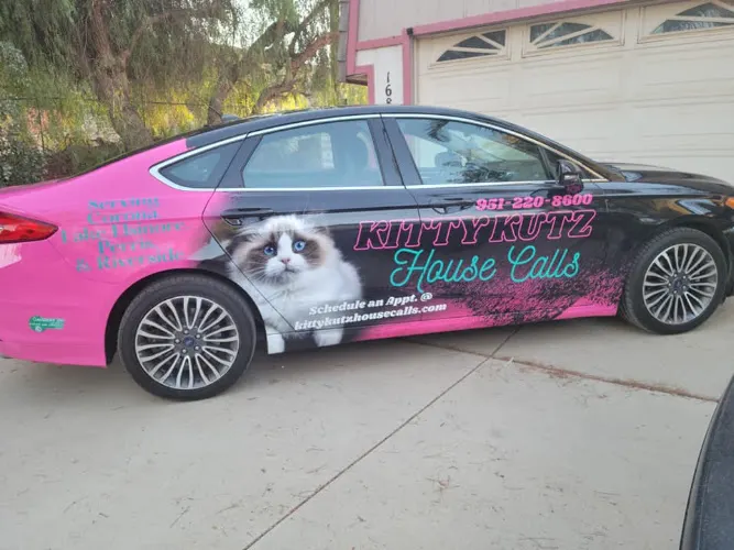 Kitty Kutz House Calls - Image 1