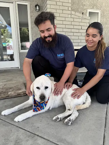 Anemal In-Home Pet Grooming Services - Image 1