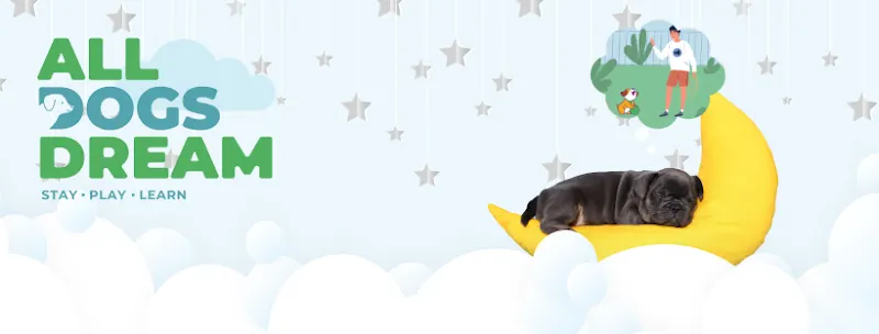 All Dogs Dream - Image 1