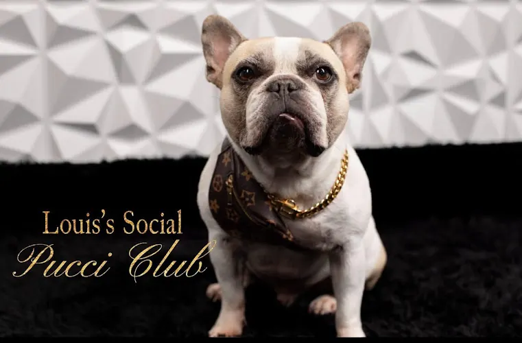 Louis’s Social Pucci Club - Image 1