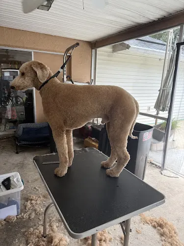 Furr-Ever Clean mobile pet spa - Image 1