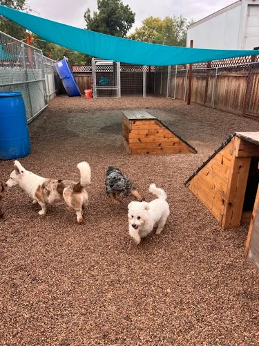 Zion Canyon Canine Recreation Center & Spa - Image 1