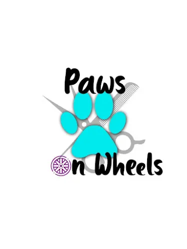Paws On Wheels - Image 1