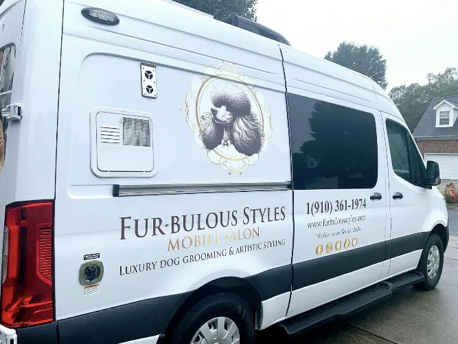 Fur-bulous Styles - Image 1