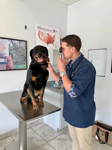 CareVet of Williamsburg - Image 1