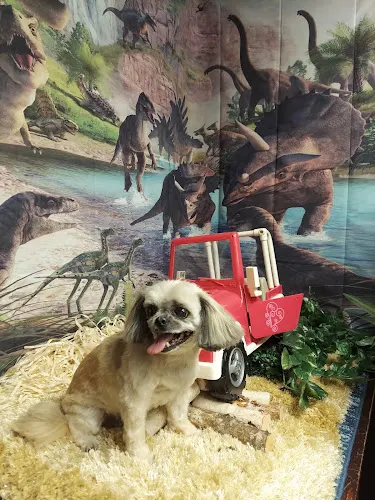 Fido's Fine Fur Dog Grooming - Image 1