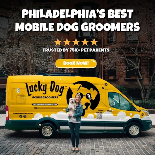 Lucky Dog Mobile Groomers - Philadelphia - Image 1
