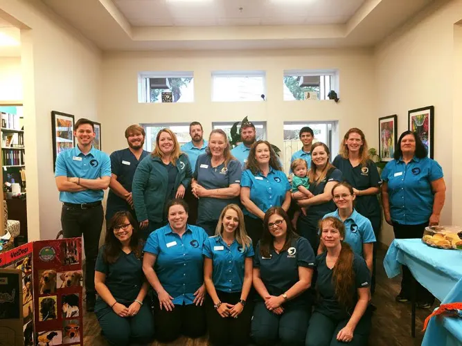 Davis Animal Hospital Pensacola - Image 1