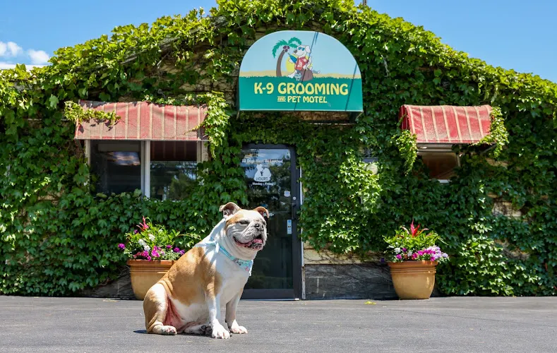 K-9 Grooming & Pet Motel - Image 1
